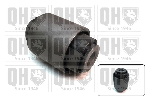 Mounting, control/trailing arm (EMS8634)