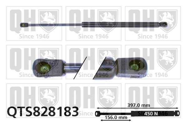 Gas Spring, bonnet (QTS828183)