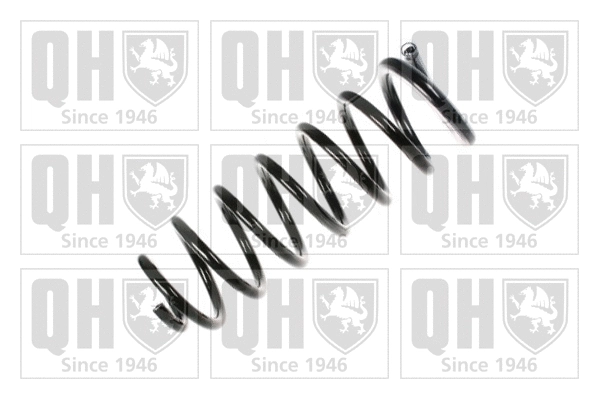Suspension Spring (QCS5515)