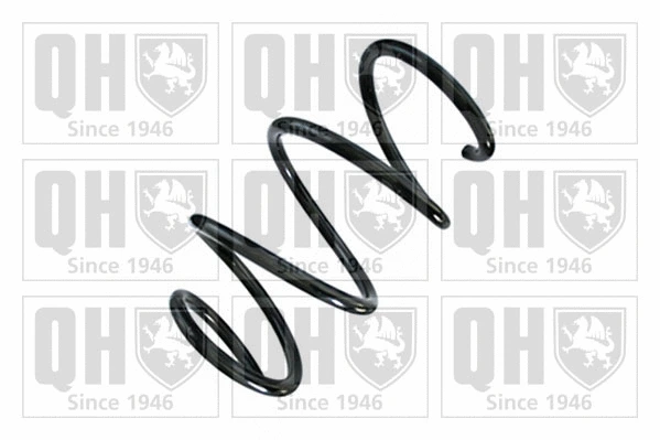 Suspension Spring (QCS8742)