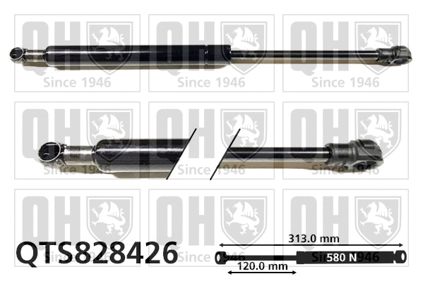 Gas Spring, bonnet (QTS828426)