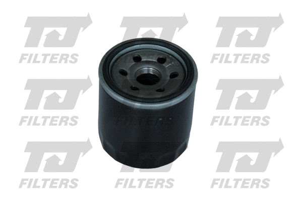 Oil Filter (QFL0305)