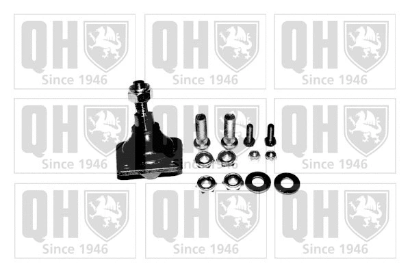 Ball Joint (QSJ792S)