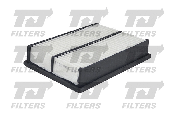 Air Filter (QFA0491)