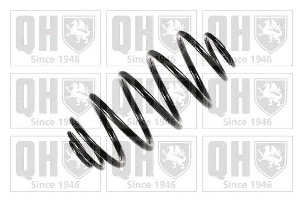 Suspension Spring (QCS6368)