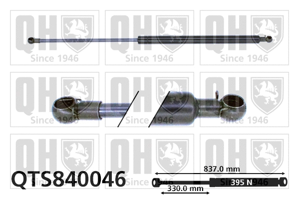 Gas Spring, boot/cargo area (QTS840046)