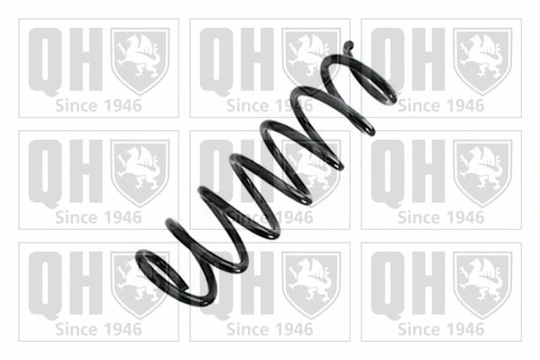 Suspension Spring (QCS9028)