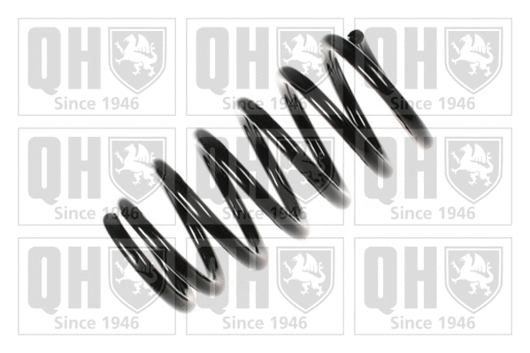 Suspension Spring (QCS5258)