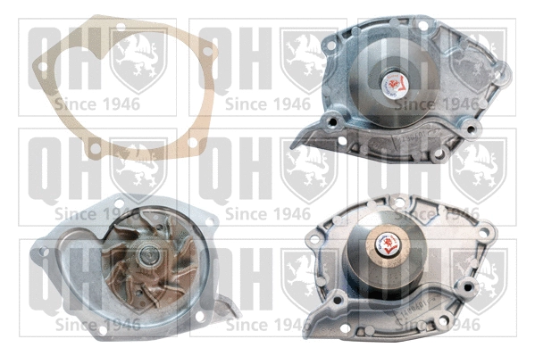 Water Pump, engine cooling (QCP3507)