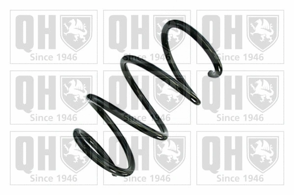 Suspension Spring (QCS8739)