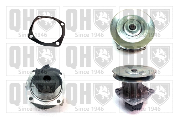 Water Pump, engine cooling (QCP766)
