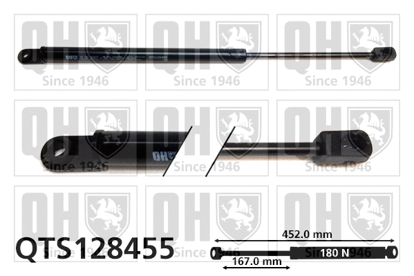 Gas Spring, boot/cargo area (QTS128455)