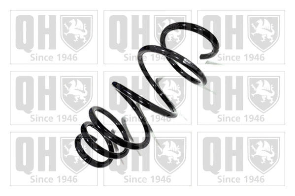 Suspension Spring (QCS5795)