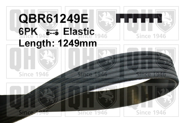 V-Ribbed Belt (QBR61249E)