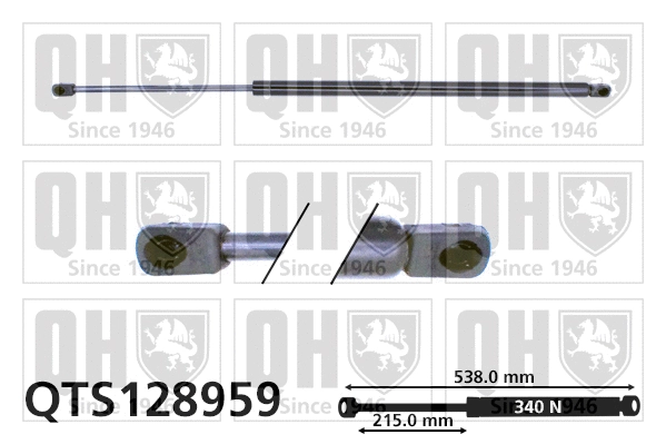 Gas Spring, boot/cargo area (QTS128959)