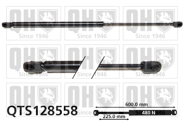 Gas Spring, boot/cargo area (QTS128558)