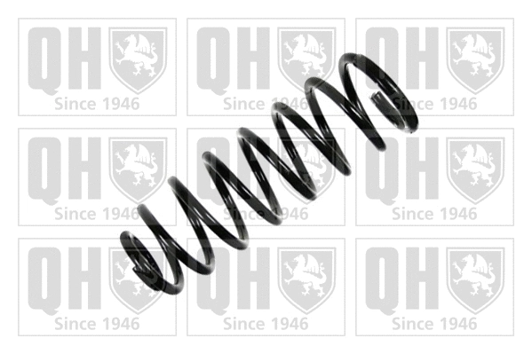 Suspension Spring (QCS8010)