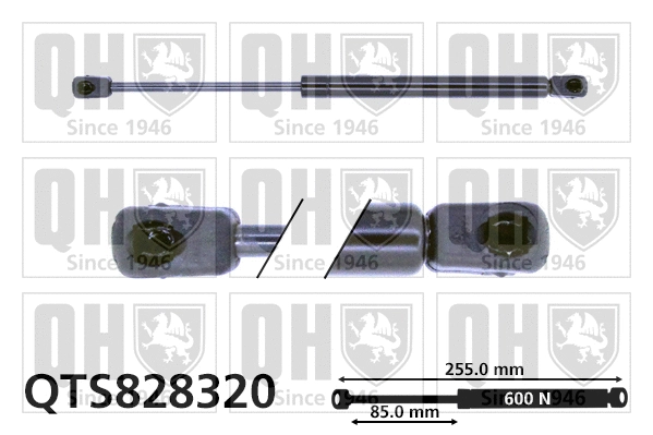 Gas Spring, boot/cargo area (QTS828320)