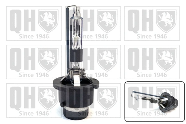 Bulb, headlight (QBL506G)