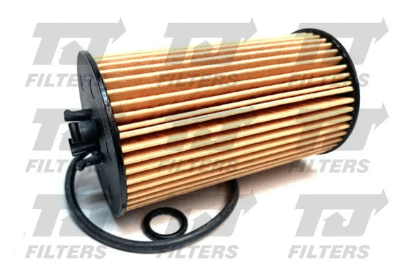 Oil Filter (QFL0387)