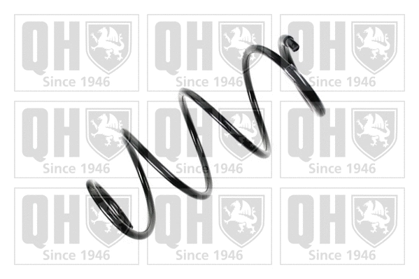 Suspension Spring (QCS7397)