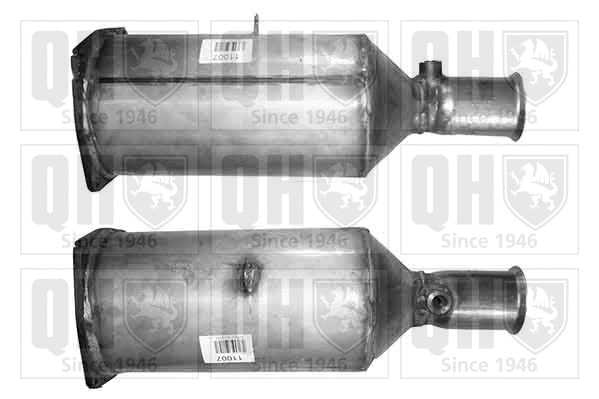 Soot/Particulate Filter, exhaust system (QDPF11007P)