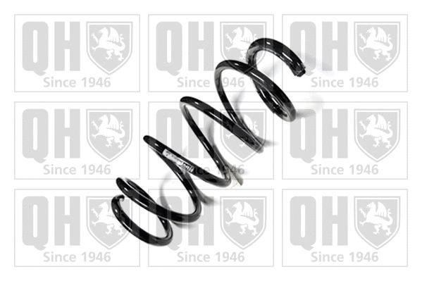 Suspension Spring (QCS5612)