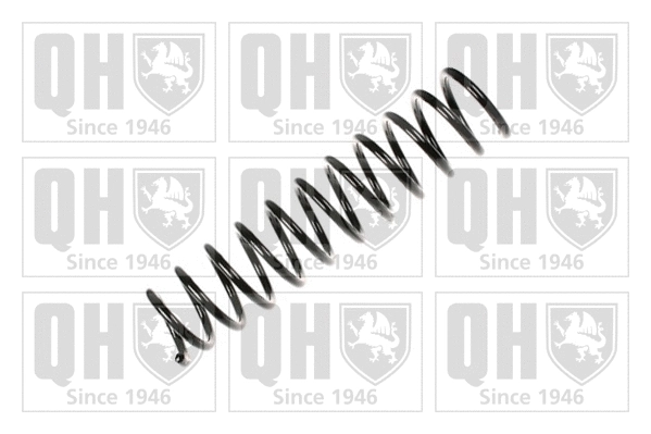 Suspension Spring (QCS6206)