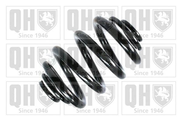 Suspension Spring (QCS5289)