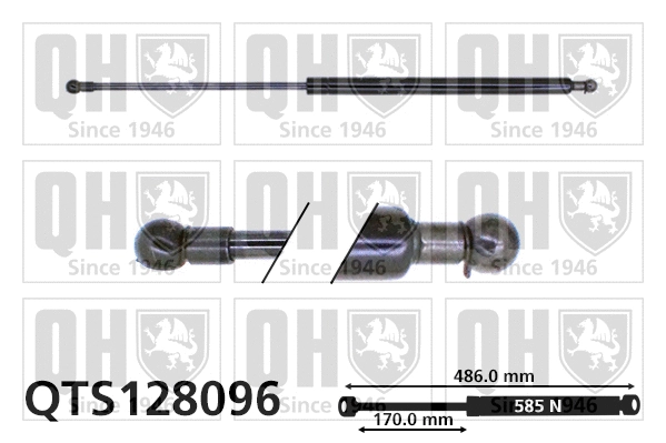 Gas Spring, boot/cargo area (QTS128096)