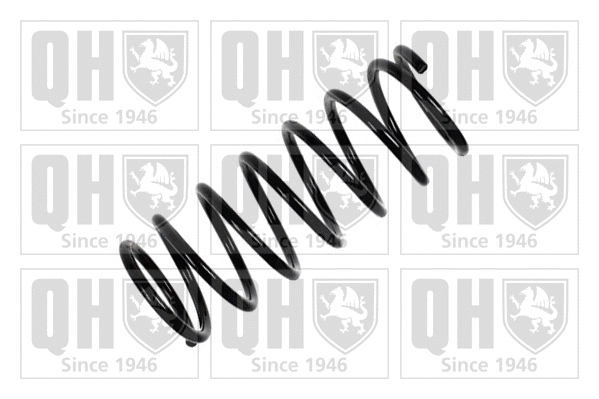 Suspension Spring (QCS7625)