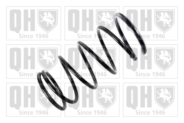 Suspension Spring (QCS5801)