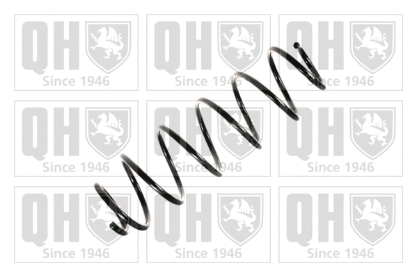 Suspension Spring (QCS7561)
