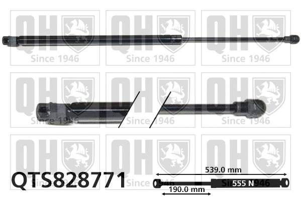 Gas Spring, boot/cargo area (QTS828771)