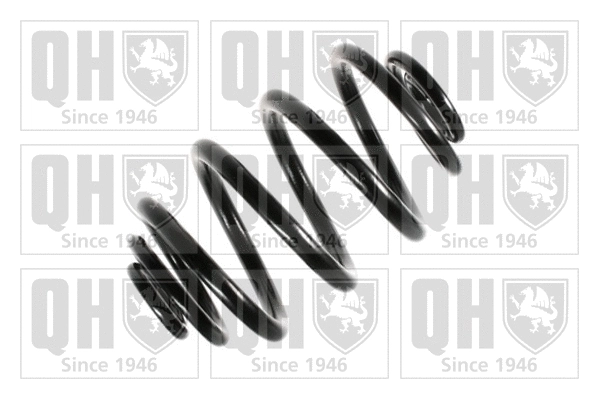 Suspension Spring (QCS5464)
