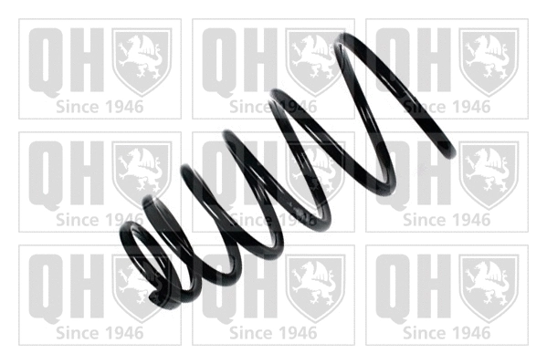 Suspension Spring (QCS5315)
