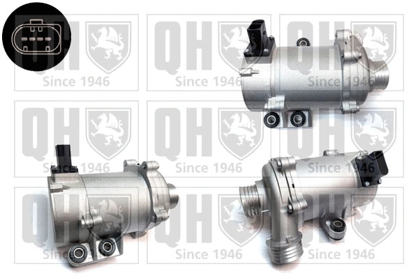 Water Pump, engine cooling (QCP3824)