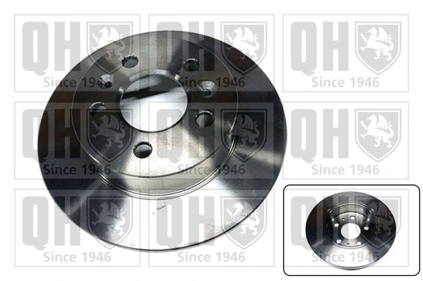 Brake Disc (BDC4869)