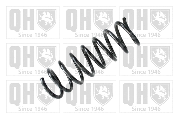 Suspension Spring (QCS5548)