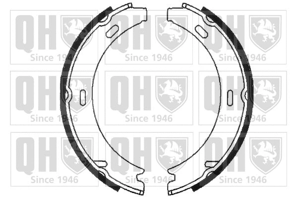 Brake Shoe Set, parking brake (BS818)