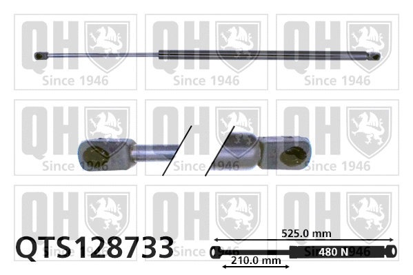 Gas Spring, bonnet (QTS128733)