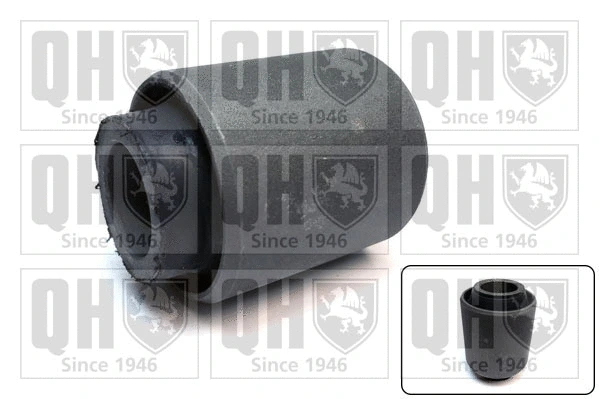 Mounting, control/trailing arm (EMS8391)