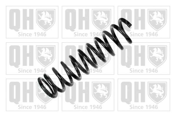 Suspension Spring (QCS6172)
