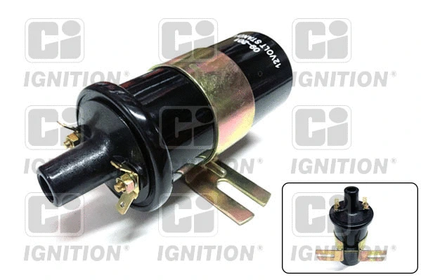 Ignition Coil (XIC8040)