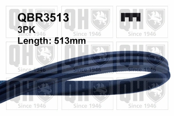 V-Ribbed Belt (QBR3513)