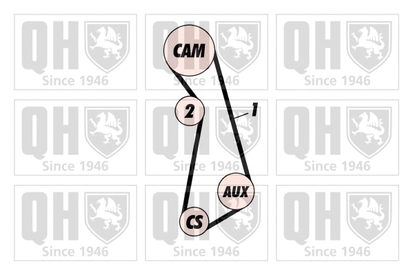 Timing Belt Kit (QBK249)