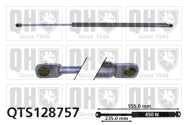 Gas Spring, boot/cargo area (QTS128757)