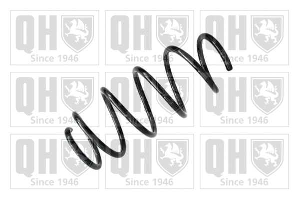 Suspension Spring (QCS6434)