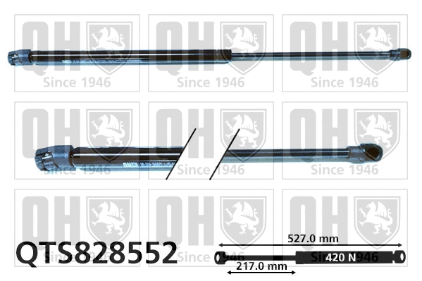 Gas Spring, boot/cargo area (QTS828552)
