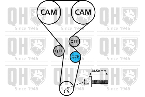Timing Belt Kit